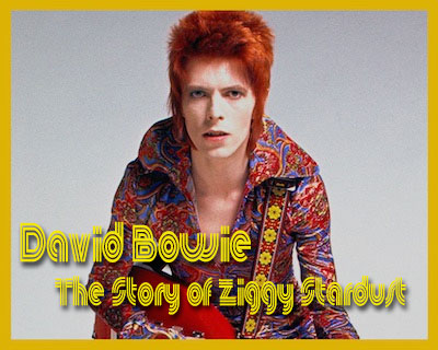 DAVID BOWIE STORY OF ZIGGY STARDUST DVD - 1969-80 Video Collection